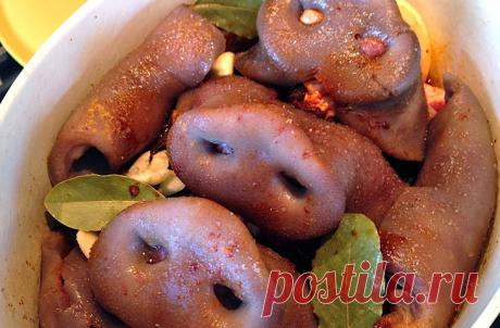 От носа до хвоста: 10 лучших блюд из субродуктов