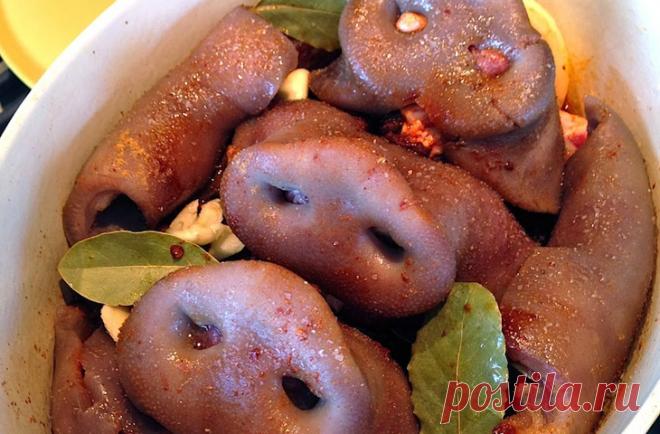 От носа до хвоста: 10 лучших блюд из субродуктов