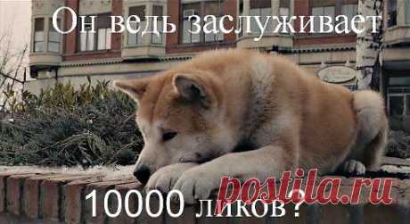 Как вы думаете заслуживает?
