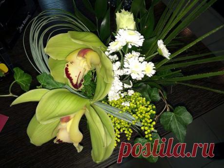 (62) Одноклассники