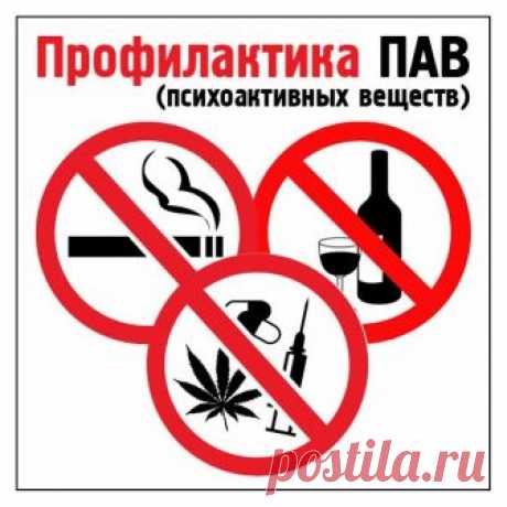 Основные направления деятельности по профилактике ПАВ в образовательной организации. - Методические разработки