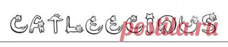 Catleecious