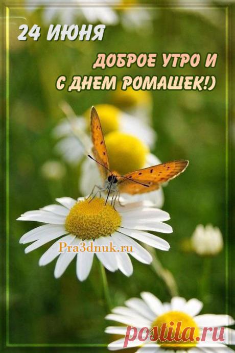 День Ромашек - это день доброты, мира и гармонии. Дорогой(ая) [имя], поздравляю тебя с этим замечательным днем! Открытки на День ромашки!