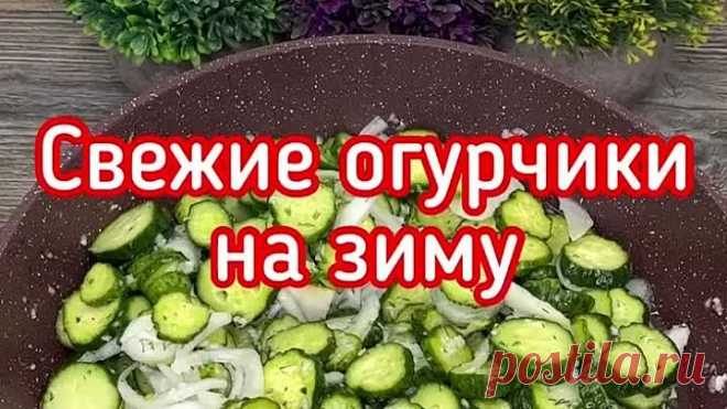 СВЕЖИЕ ОГУРЧИКИ НА ЗИМУ