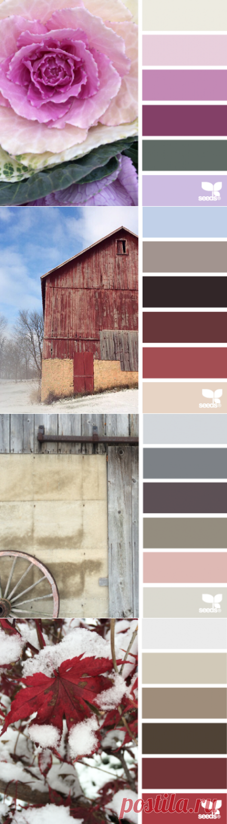 design seeds | for all who ♥ color