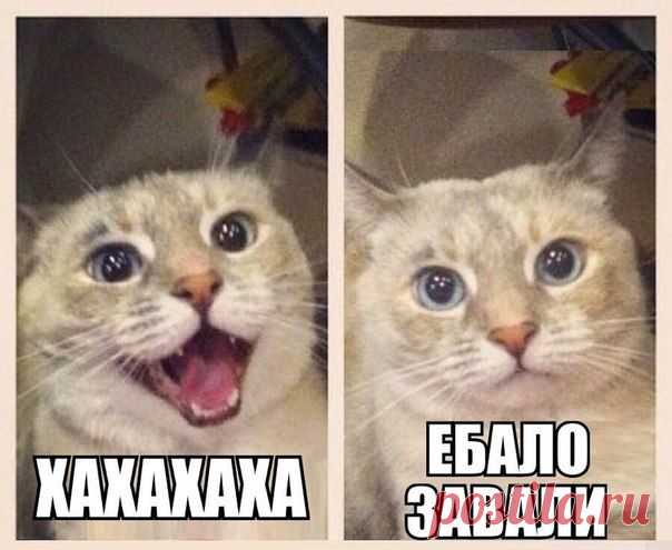 Чёрный юмор