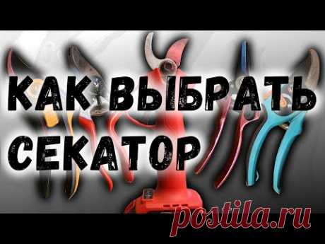 Как выбрать секатор?
