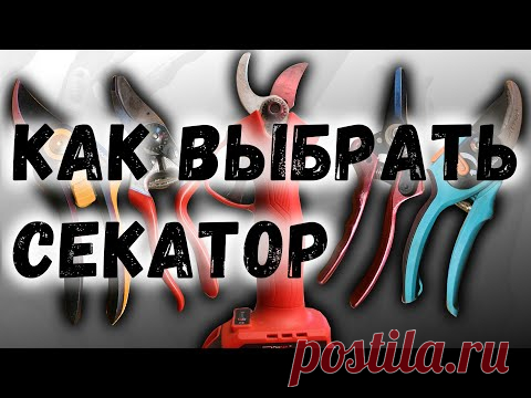 Как выбрать секатор?