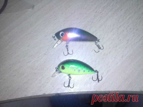 Мужики, взял 2 воблера на головля. Скажиска... / Богатая добыча