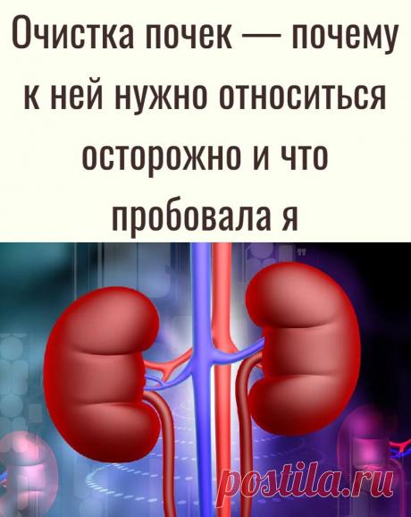 Очистка почек — почему к ней нужно относиться осторожно и что пробовала я