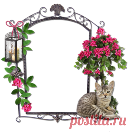 Красивые "Рамочки-кластеры" - ну очень много!