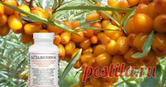 Работает мягко, но сверх мощно - антиоксидант номер один. Солбери Н (SOLBERRY-H) Продукты нового поколения для здоровья и красоты. Аврора млм, бады