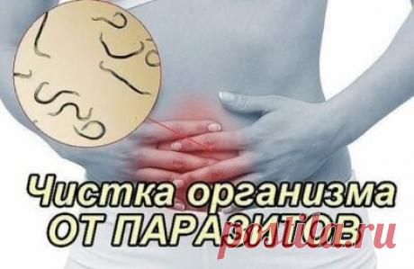 Очищение организма от глистов