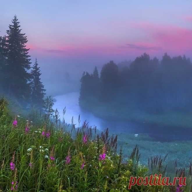 Туманное лето полное запахами лугов.
📷 Фёдор Лашков