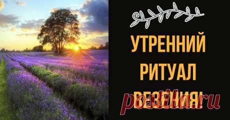 Только для женщин! Волшебный ритуал, который поможет исполнить желание! - Страница 2 из 2 Мы, полные энергии и сил, после долгой ночи готовы к трудовым будням, новым победам и приятным свершениям… как не готовы? Вы не любите утро? Ах, да… снова эта работа… и вы опять не выспались… и впереди столько важных дел, проблем и суматохи… кошмар! Да и правда, кому вообще может нравиться начало дня? Для многих вообще …