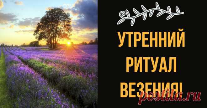 Только для женщин! Волшебный ритуал, который поможет исполнить желание! - Страница 2 из 2 Мы, полные энергии и сил, после долгой ночи готовы к трудовым будням, новым победам и приятным свершениям… как не готовы? Вы не любите утро? Ах, да… снова эта работа… и вы опять не выспались… и впереди столько важных дел, проблем и суматохи… кошмар! Да и правда, кому вообще может нравиться начало дня? Для многих вообще …