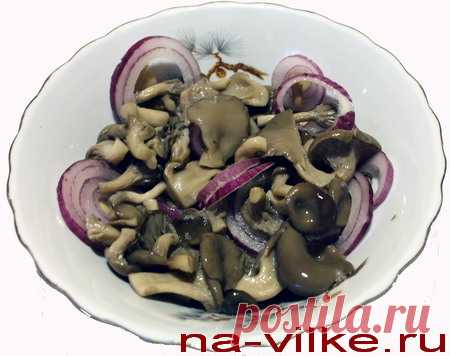 Вешенки маринованные