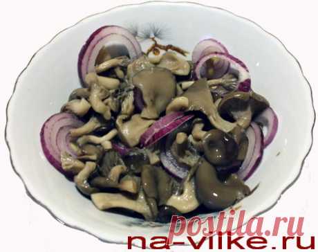 Вешенки маринованные