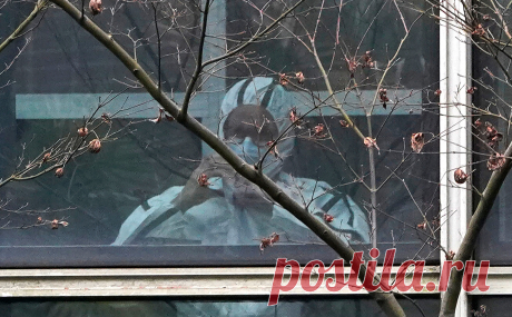 ВОЗ создаст новую группу по изучению происхождения коронавируса. Она в том числе будет способствовать проведению дополнительных исследований, которые рекомендовала группа, побывавшая в Ухане в январе и феврале. Кроме SARS-CoV-2 группа будет изучать происхождение и других вирусов