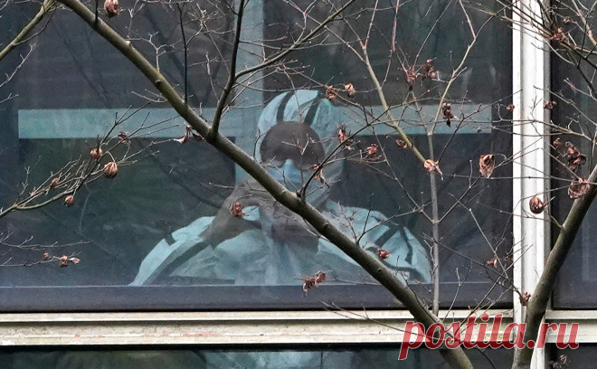 ВОЗ создаст новую группу по изучению происхождения коронавируса. Она в том числе будет способствовать проведению дополнительных исследований, которые рекомендовала группа, побывавшая в Ухане в январе и феврале. Кроме SARS-CoV-2 группа будет изучать происхождение и других вирусов