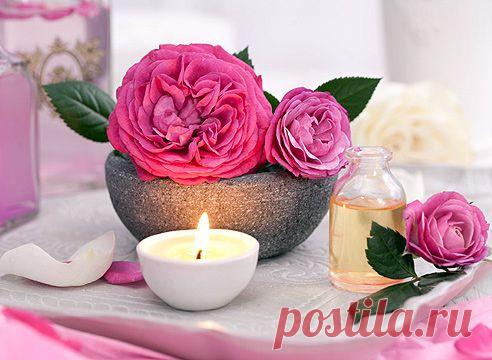 Чем полезна роза?