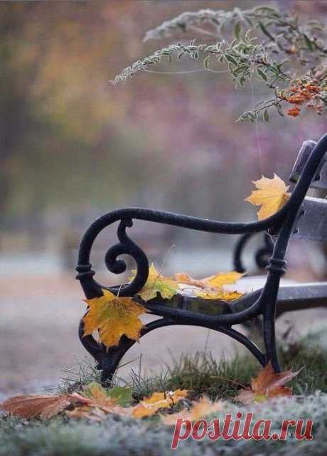 Pin page
