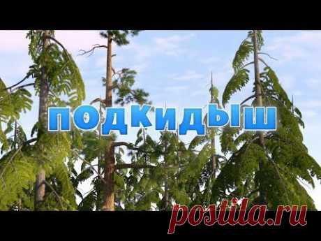 Маша и Медведь : Подкидыш (Серия 23)