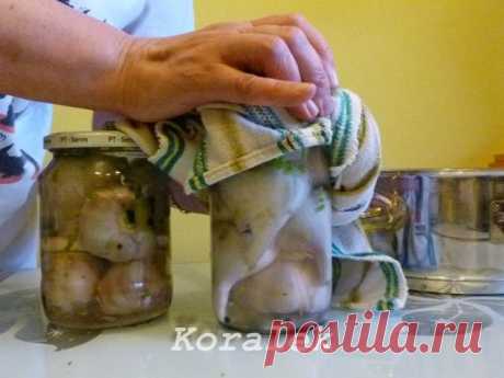 Маринованный чеснок. / Болталка / Кулинария