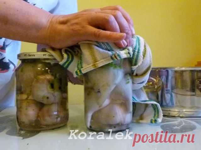 Маринованный чеснок. / Болталка / Кулинария