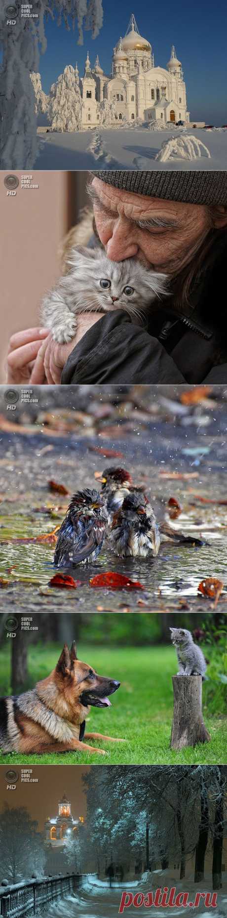 Лучшие фотографии 2013-го года по версии Яндекс.Фотки