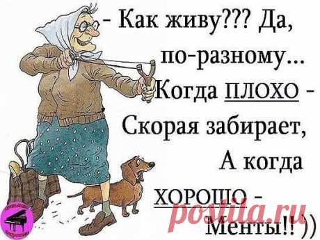текст