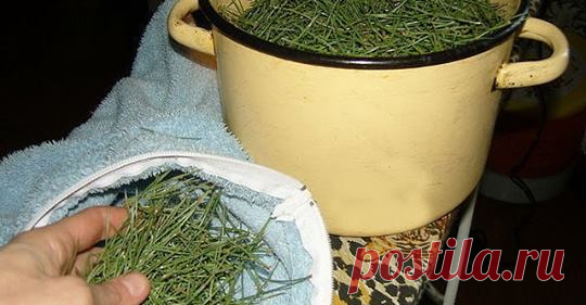 Простой рецепт снизит давление на много лет. Гипертонией болеют многие. Такие люди годами ходят по врачам, принимают гипотензивные препараты и многие из них даже не догадываются о существовании простого, но весьма эффективного рецепта народной м…