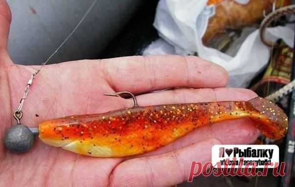 О виброхвостах / Богатая добыча