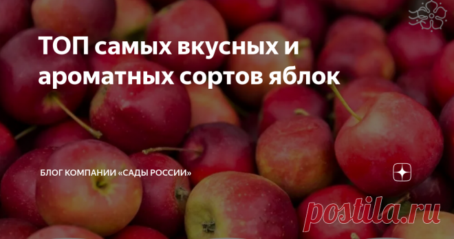 ТОП самых вкусных и ароматных сортов яблок Вкус – одна из главных характеристик, которой руководствуются при выборе саженцев яблони для посадки в саду. Конечно, кому захочется есть кислые плоды с дряблой мякотью, даже если само дерево неприхотливое и простое в выращивании.
Мы составили для вас ТОП-6 популярных сортов яблок, которые точно порадуют вас своим вкусом.
