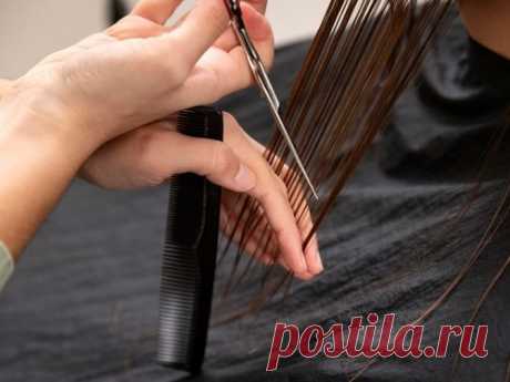 Лунный календарь СТРИЖКИ ВОЛОС на ноябрь 2025 года Провести последний месяц осени в хорошем настроении важно не только для энергетики, но и для воплощения в жизнь смелых идей. Астрологи помогут выбрать оптимальные дни для яркого преображения внешности и сделать стрижку в самые благоприятные дни ноября.