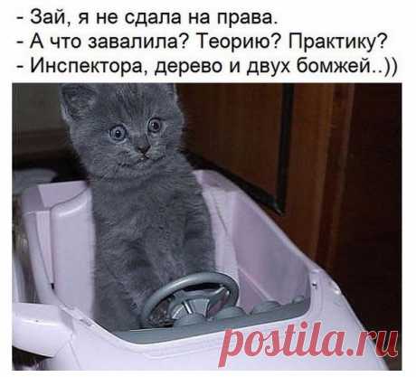 Елена Имаева