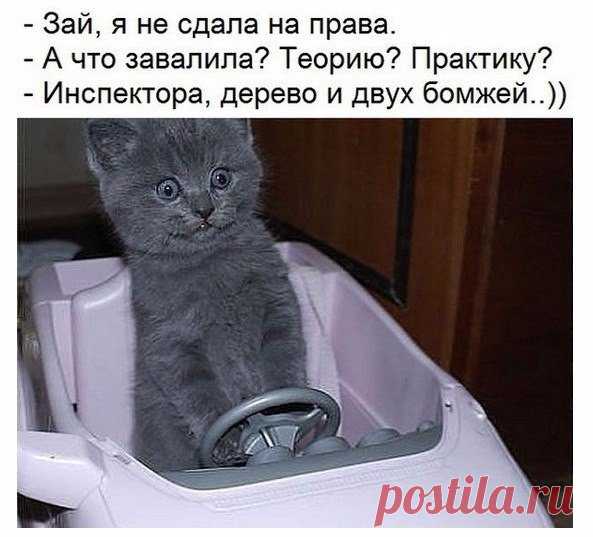 Елена Имаева