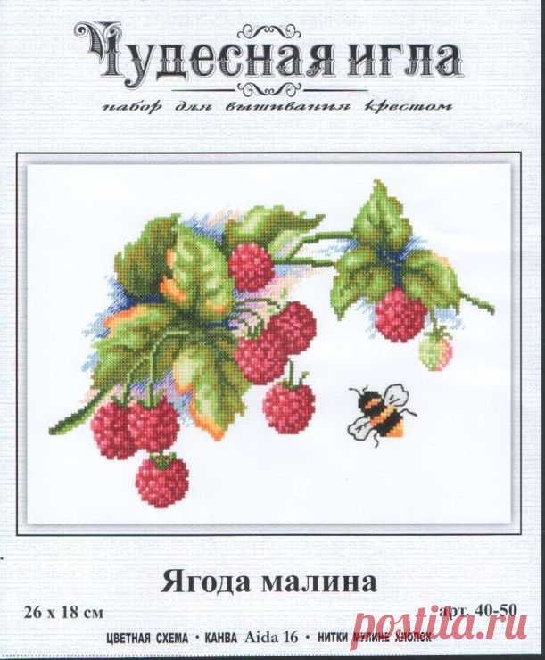 Gallery.ru / Фото #49 - Ягоды - shamrock