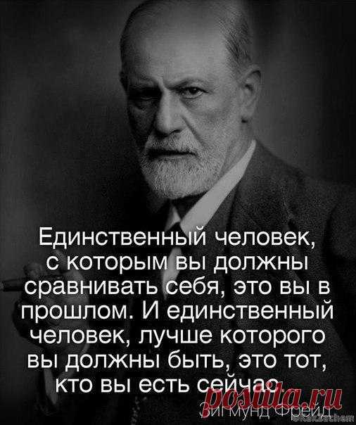 Интерес к теориям Зигмунда Фрейда не угасает и по сей день. 18 гениальных цитат ученого. - KakZachem.ru