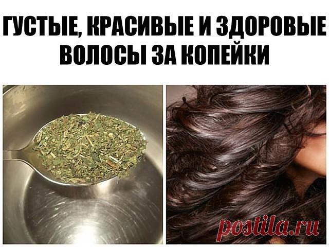 Остановить выпадение волос помогут эти 2 ингредиента! Густые, красивые и здоровые волосы за копейки!
Вам кажется, что ваши волосы выпадают в огромном количестве, и такими темпами у вас будет некрасивая проплешина на макушке? Чтобы не допустить такого плачевного результата, необходимо немедленно принимать меры и остановить обильное выпадение волос. Есть прекрасное средство, состоящее всего из двух ингредиентов, простых и доступных буквально каждому, которое может помочь теб...