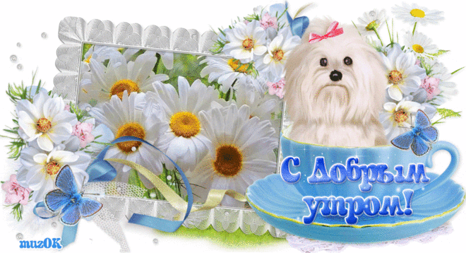 Доброе летнее утро. Музыкальная открытка * МУЗыкальный подарОК