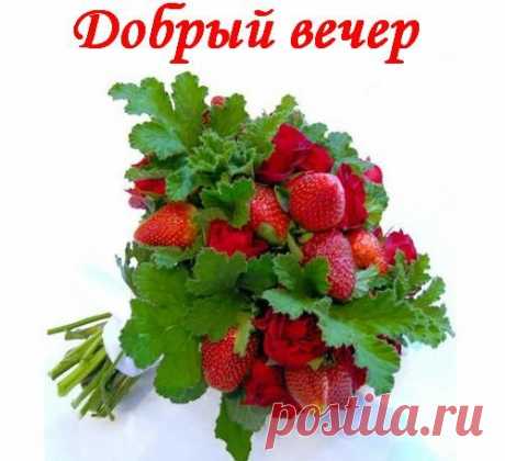 ДОБРЫЙ ВЕЧЕР
