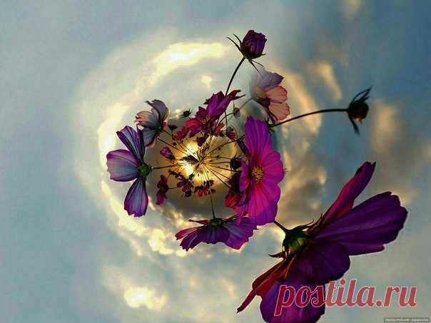 Музыка вечера... 🔆💜