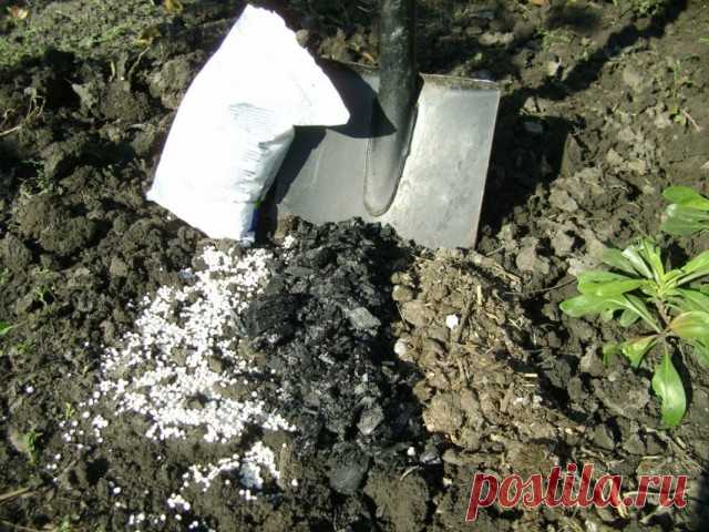 О калийных удобрениях подробно 
Калийные удобрения, наряду с фосфорными и азотными, являются весьма важными для растений, поскольку калий – это значимый элемент для них, один их трех китов, на которых держится весь жизненный потенц…