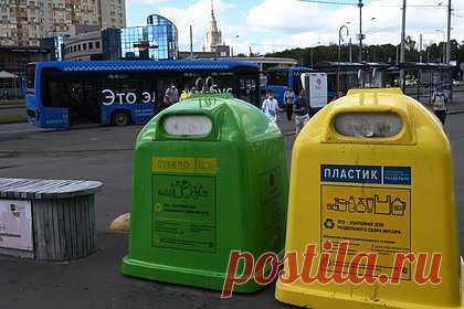 Россиян предупредили о наказании за неправильный выброс мусора