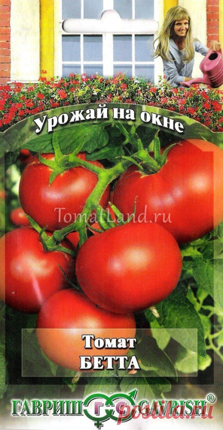 Помидор бета описание сорта Огород без хлопот - информационный сайт для дачников, садоводов и огородников.