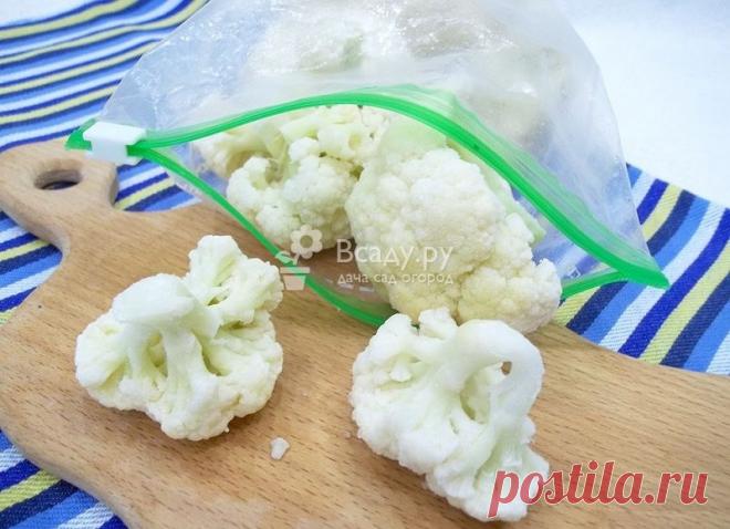 Заморозка цветной капусты в домашних условиях Как заморозить цветную капусту в домашних условиях, чтобы сохранить максимальную полезность овоща. Заморозка отваренной цветной капусты, советы, фото