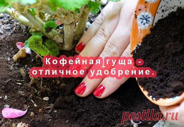 (18) Одноклассники