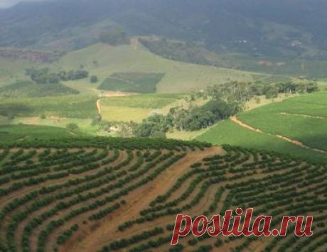 Потепление климата может вызвать проблемы в сельском хозяйстве Бразилии