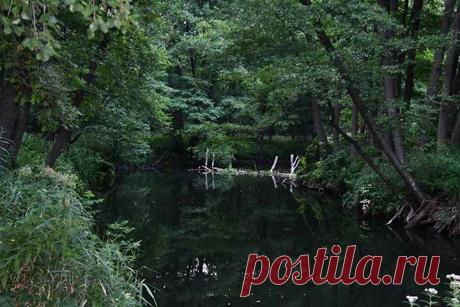 Ландшафтные контрасты среднего Дона (от болотных топей до песчаных пустынь) | Институт степи